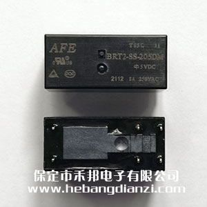 BRT2-SS-205DM